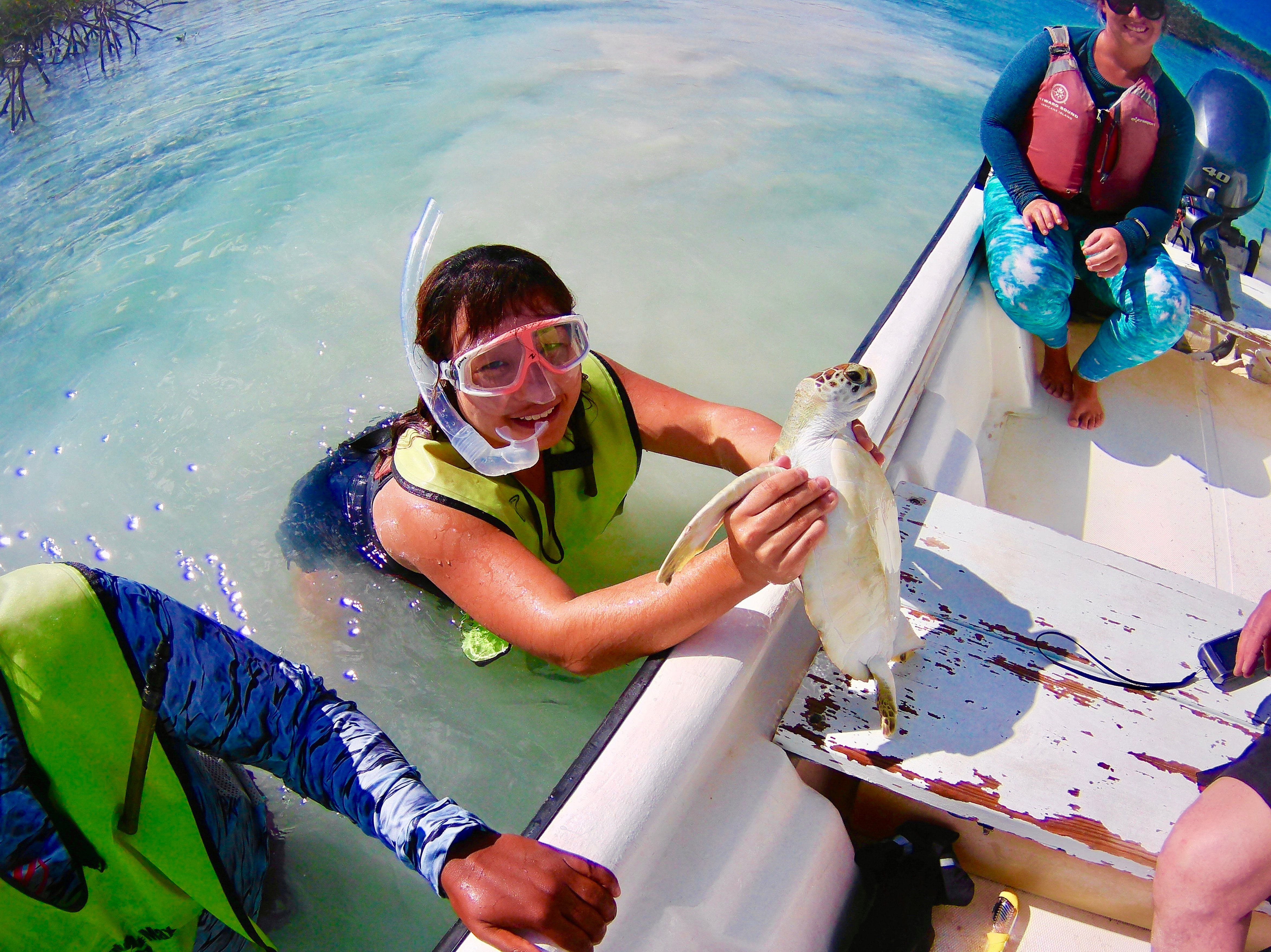 Tracking Sea Turtles in the Bahamas (by Nathania)