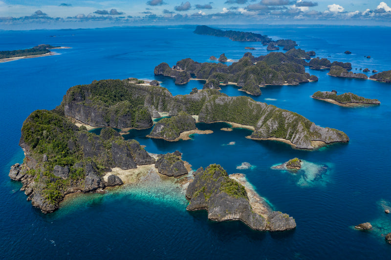 New Year's Dive Spectacular: Raja Ampat liveaboard, Indonesia - 28 Dec 2024 to 4 Jan 2025