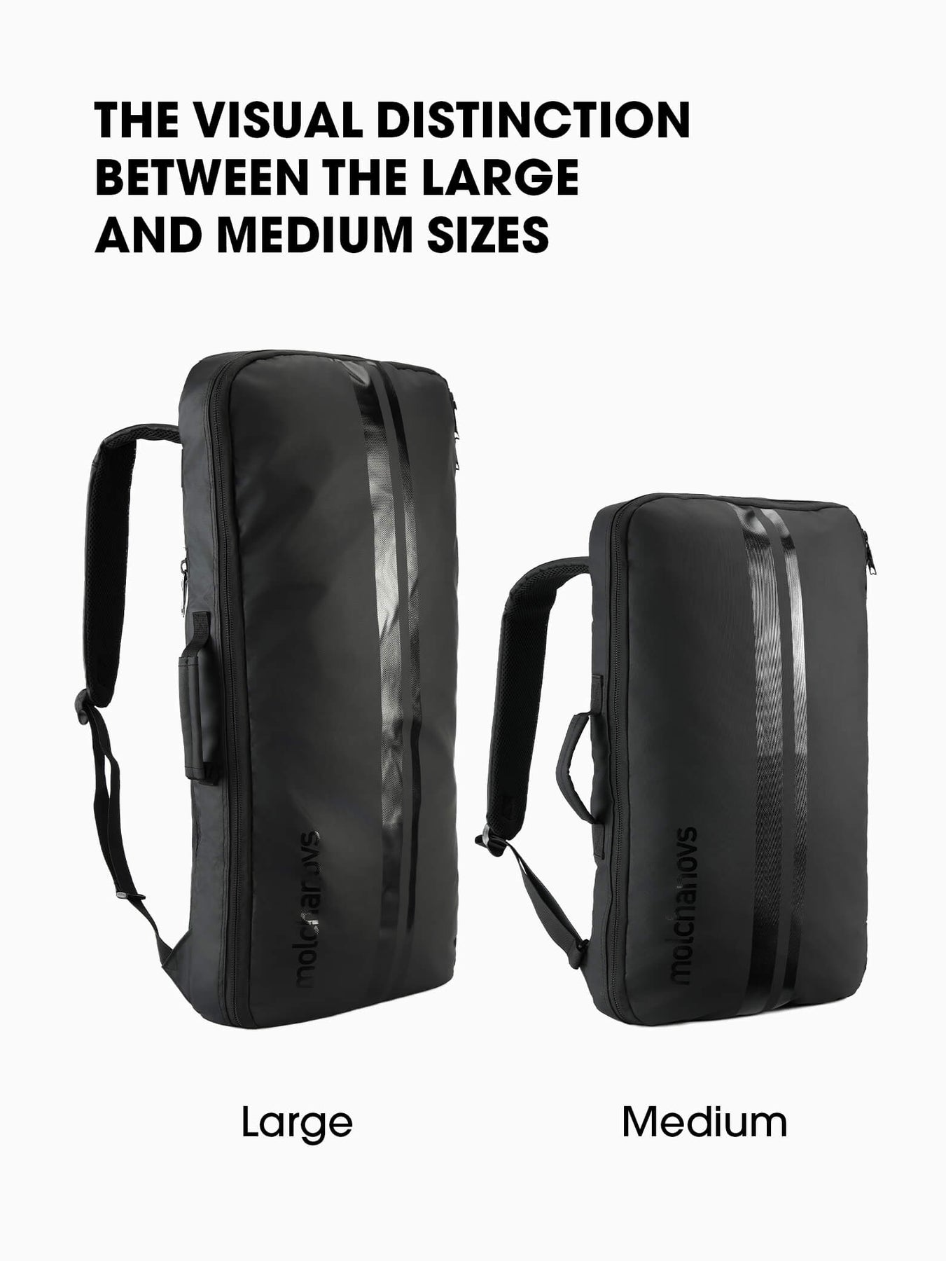 Molchanovs Short Bifins Backpack 2