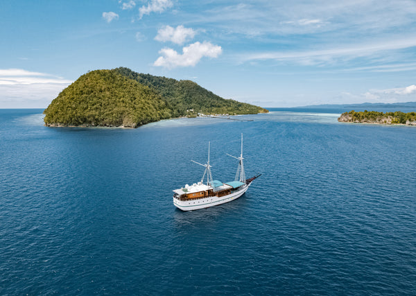 New Year's Dive Spectacular: Raja Ampat liveaboard, Indonesia - 28 Dec 2024 to 4 Jan 2025
