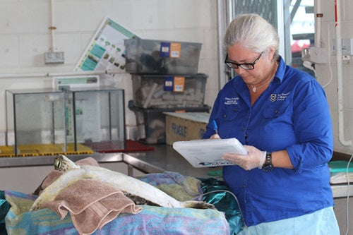 Outside the Pool - Talk about Plastic Ocean with Marine Scientist Dr Kathy Townsend (by Christine)