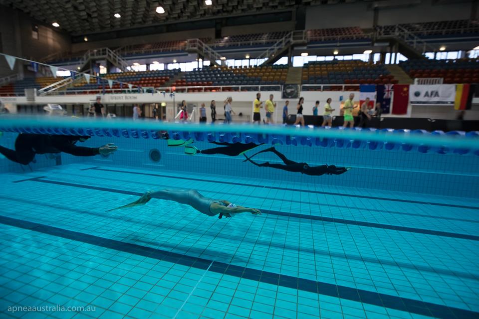 Competitive Freediving Pool Course | Molchanovs Lap 4