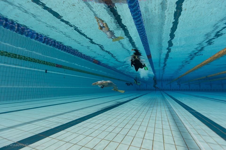 Intermediate Pool Freediving | Molchanovs Lap 2