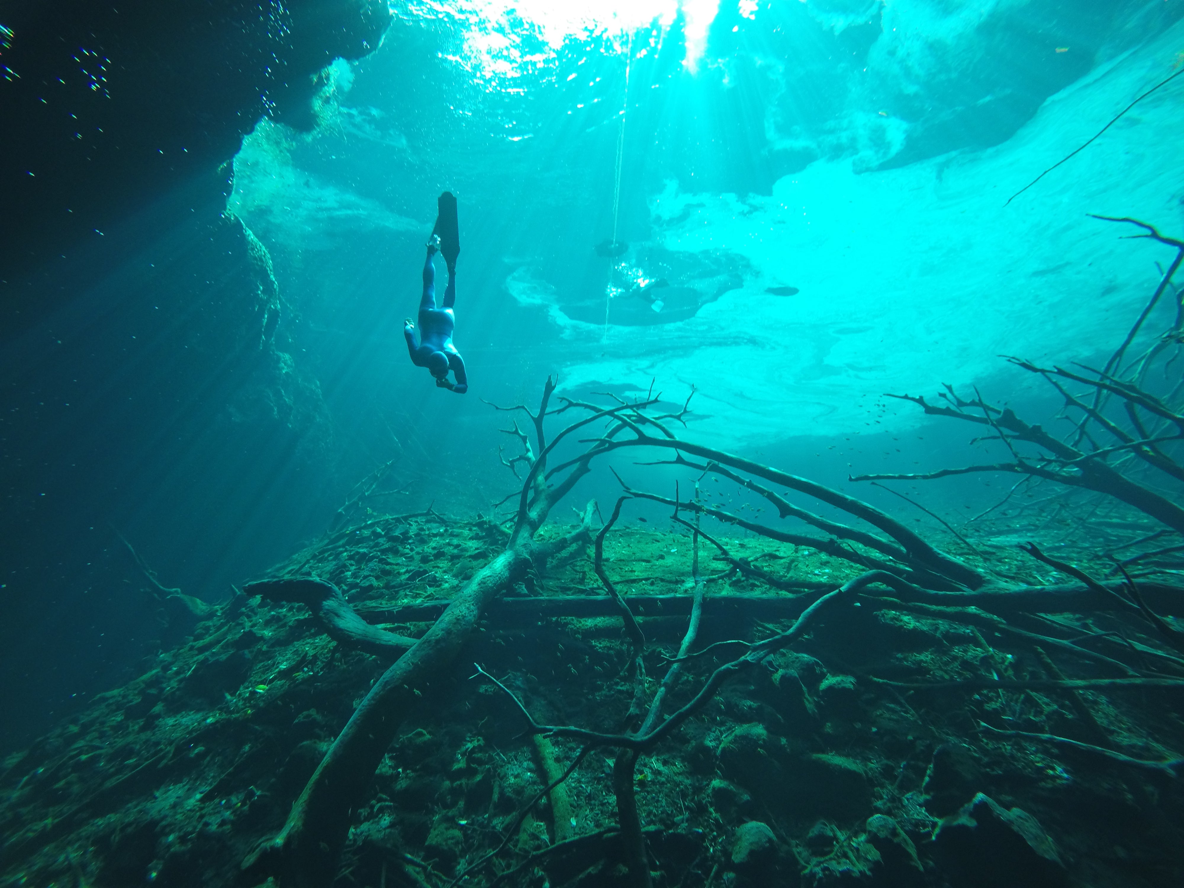Master Freediving Course | Molchanovs Wave 3